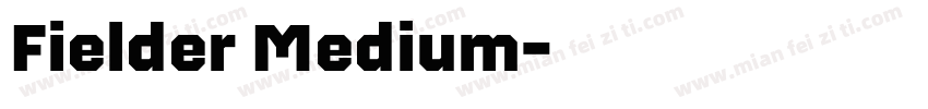 Fielder Medium字体转换